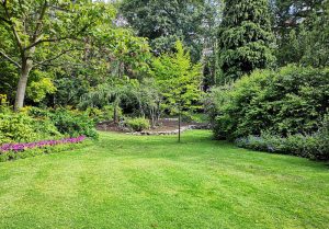 Optimiser l'expérience du jardin à Saint-Genis-sur-Menthon